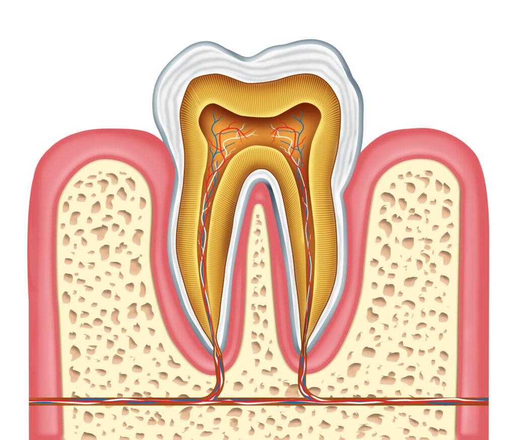 Signs You Need a Root Canal: Key Symptoms